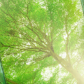 ECB and ESAs Call for Enhanced ESG Disclosure for Securitised Assets