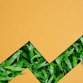 FCA Outlines Where Improvements Are Needed In ESG Benchmarks