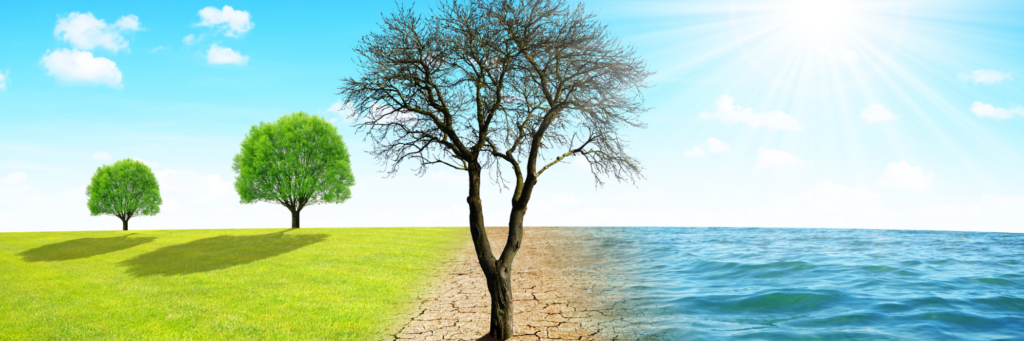 EIB Issues Digital Climate Awareness Bond