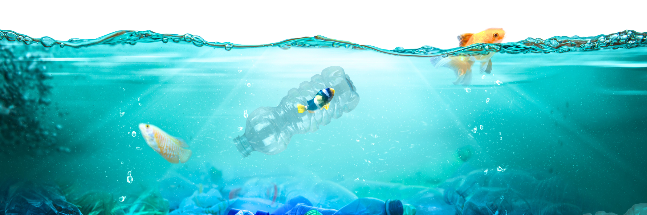 Kenya Leads Global Negotiations on Plastic Pollution Treaty