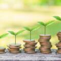The Role of ESG Regulations in Sustainable Finance