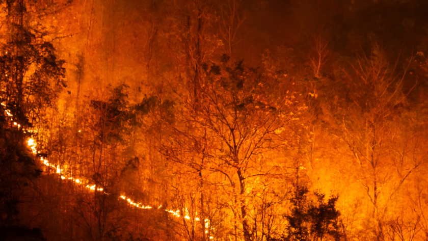 Bolivia battles record wildfires, with worst likely ahead