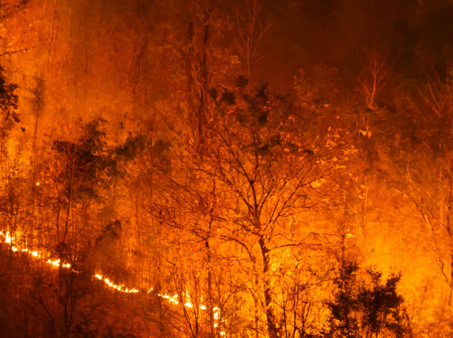 Bolivia battles record wildfires, with worst likely ahead