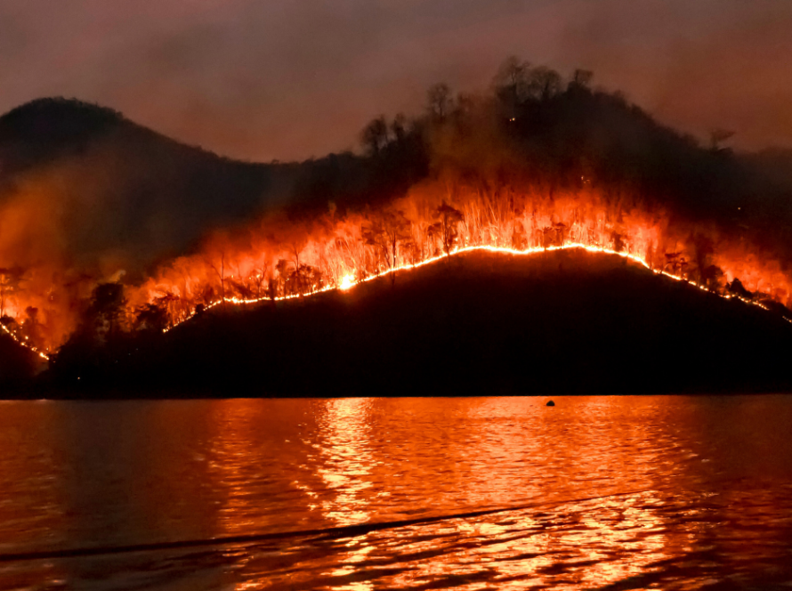 Madeira battles wildfire for fifth day