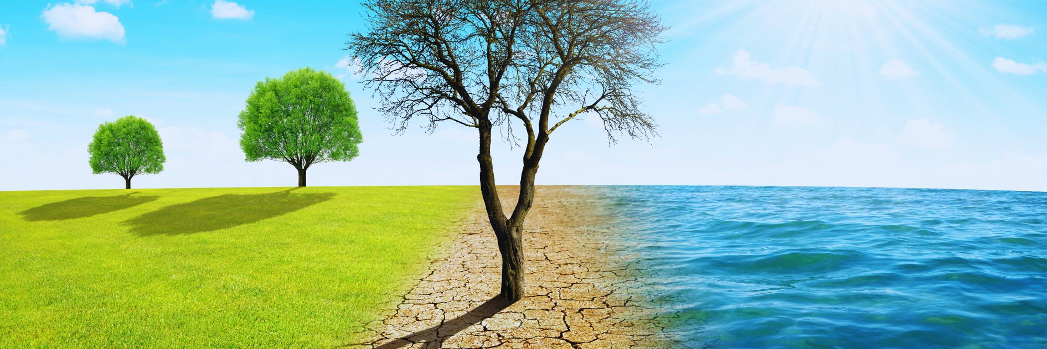 Climate Week NYC : Join GRI’s Push For Enhanced Corporate Transparency ...