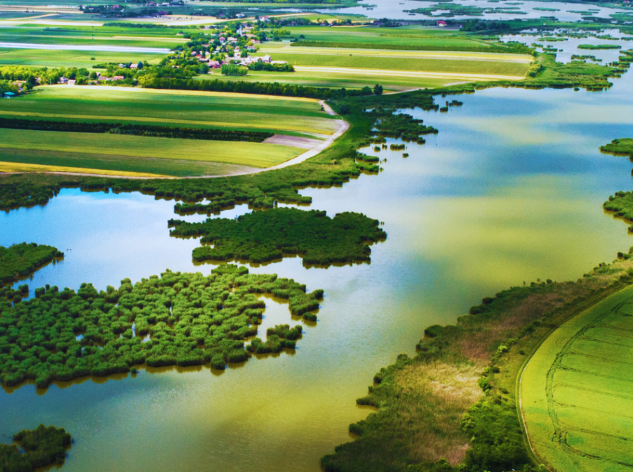 Latin America at the forefront of global biodiversity discussions