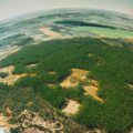 EU Approves Extended Timeline for Deforestation Regulation Compliance