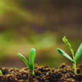 The 5 Main Challenges of ESG Reporting and Best Practices