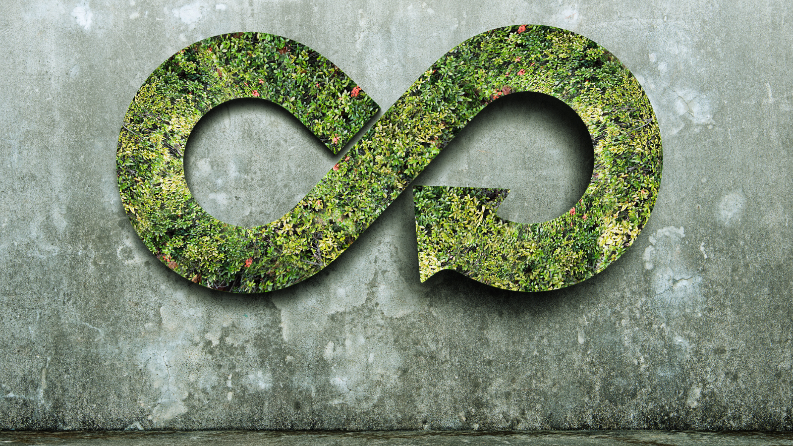 Global Harmonized Guidelines Aim to Boost Investment in Circular ...
