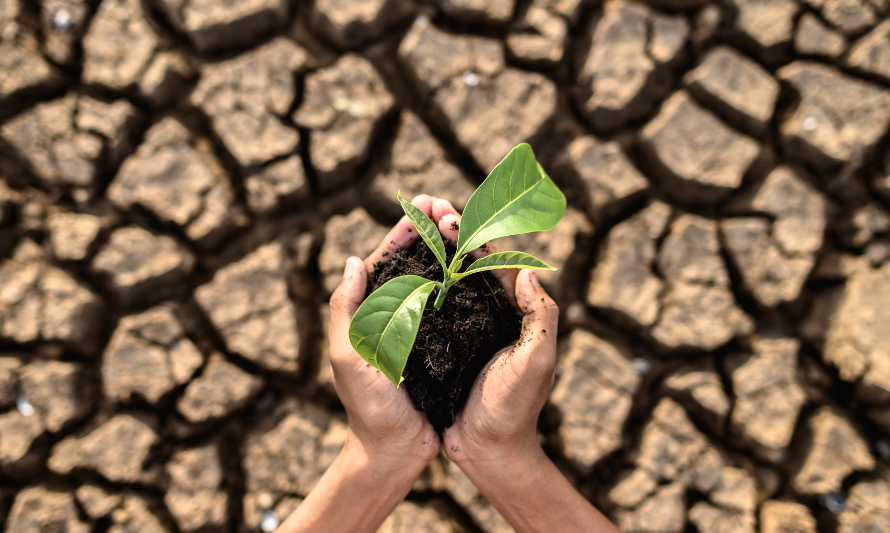 California Releases FAQ on Mandatory Climate Disclosure Laws