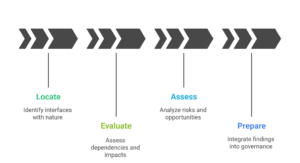 LEAP: The Core Assessment Process 
