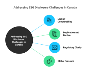 Canadian Sustainability Disclosure Standards