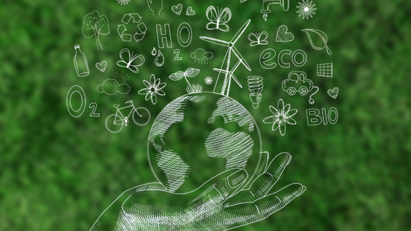 Understanding the VSME Reporting Standard: A Simple Guide for SMEs