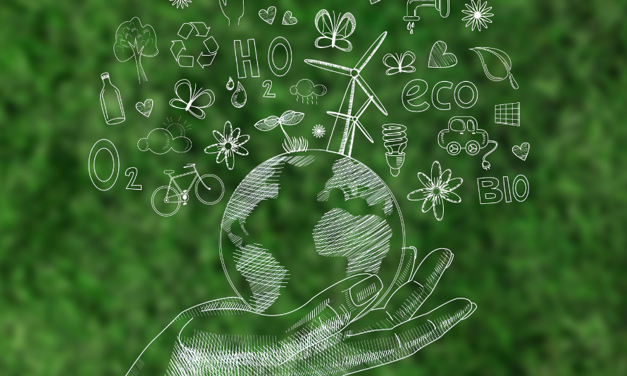 Understanding the VSME Reporting Standard: A Simple Guide for SMEs