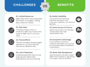 Challenges & Benefits for the VSMEs