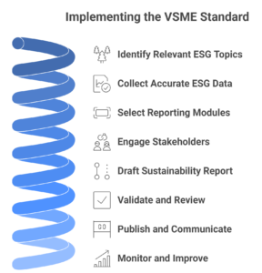 Step-by-Step Guide to Implementing the VSME Standard