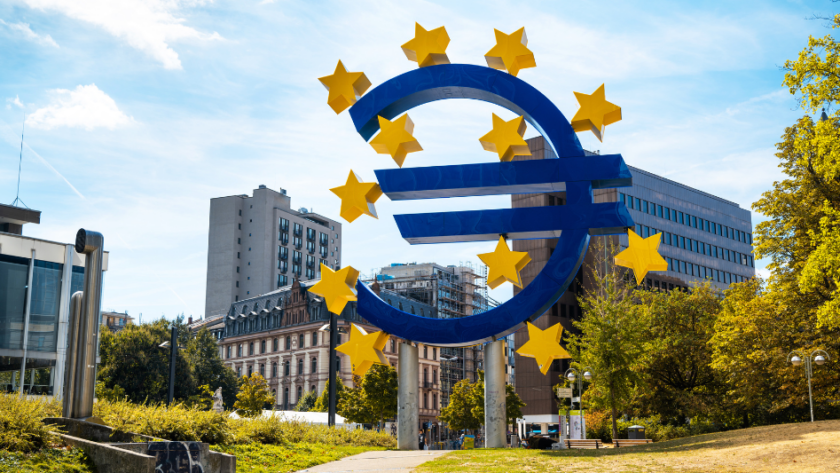 EFRAG Rolls Out Multi-Language VSME Template and What SMEs Need to Know