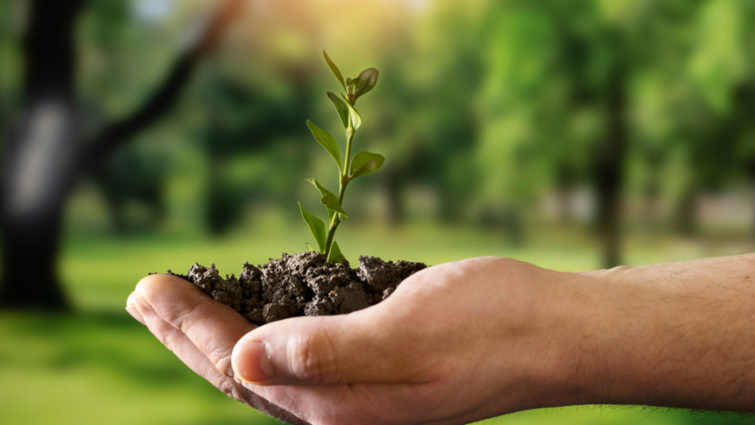 TNFD Transition Plans