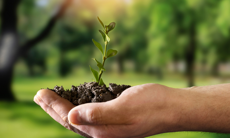 TNFD Transition Plans