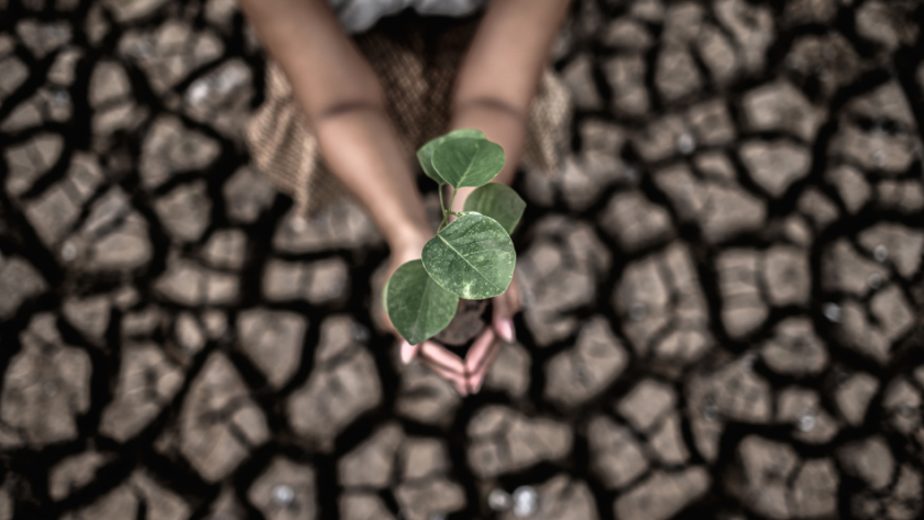 Climate Scenario Analysis in ESG Reporting