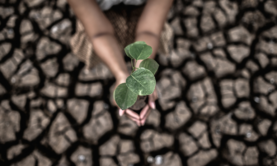 Climate Scenario Analysis in ESG Reporting