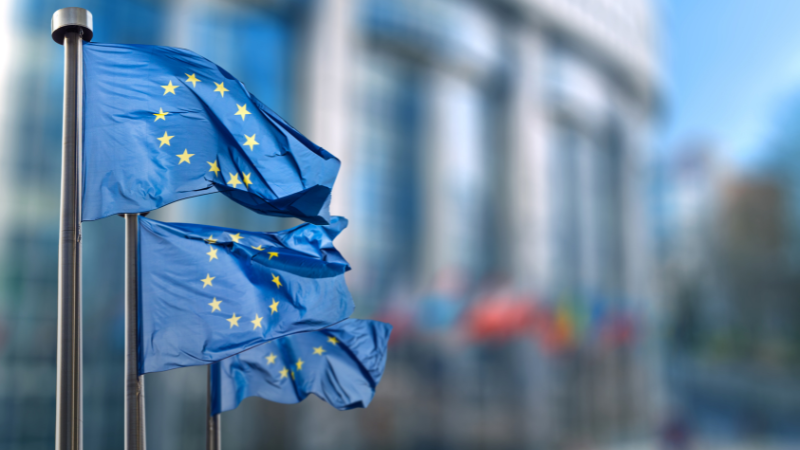 Proposed Revised ESRS released
