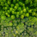 Australia Proposes Measures to Reduce Climate Reporting Burden on Companies