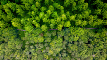 Australia Proposes Measures to Reduce Climate Reporting Burden on Companies