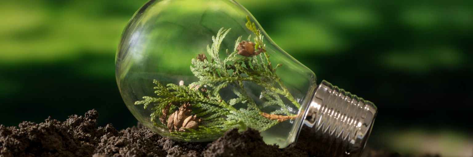 Energy Management for ESG Reporting