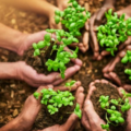TNFD Updates Nature Reporting Recommendations and Releases LEAP v2.0
